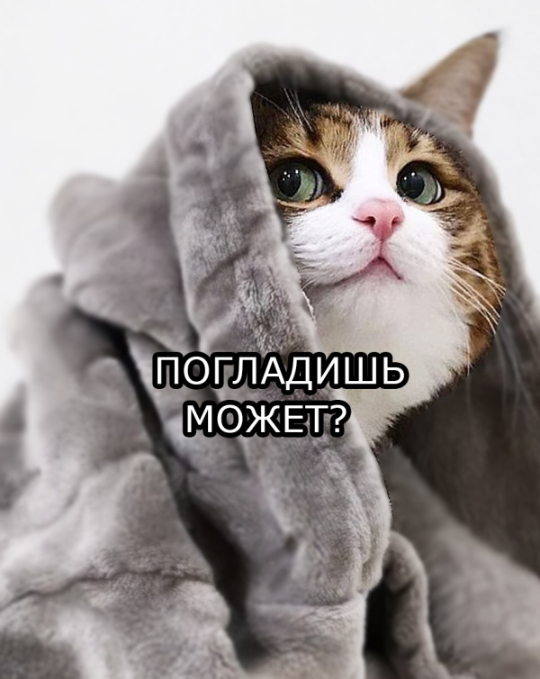 ПЛЕДЫ ВЕЛСОФТ ОПТОМ - Новая линейка пледов